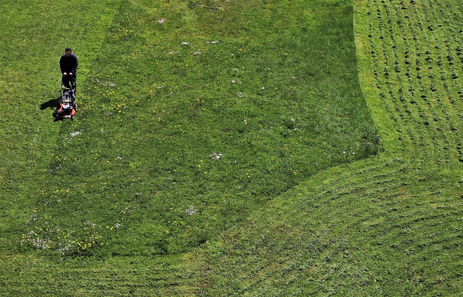 Pokošen travnjak obiteljske kuće